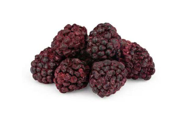 Freeze-dried blackberries