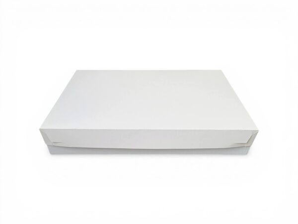 Cake box 60x40x10