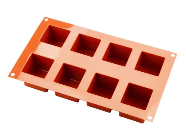 silicone form