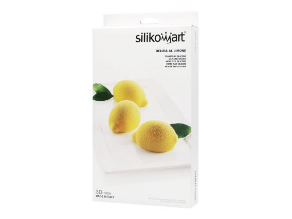 silicone form