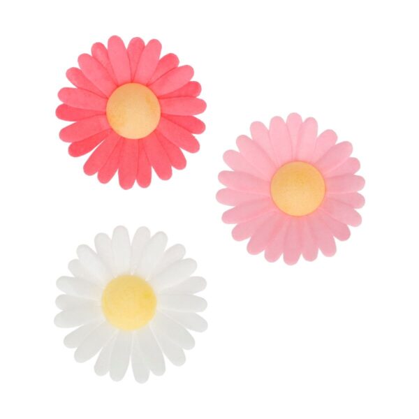 waffle flowers